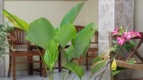 Sri Deva Guest House
