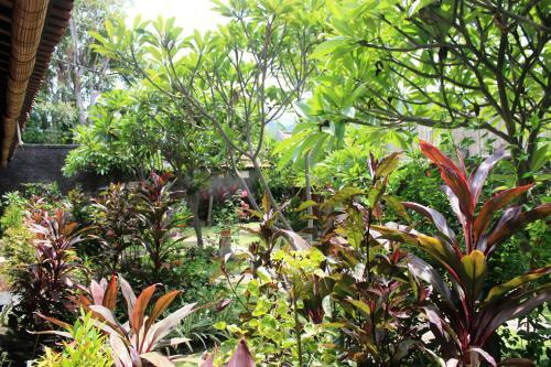 Hostal Pondok Shindu Guest House