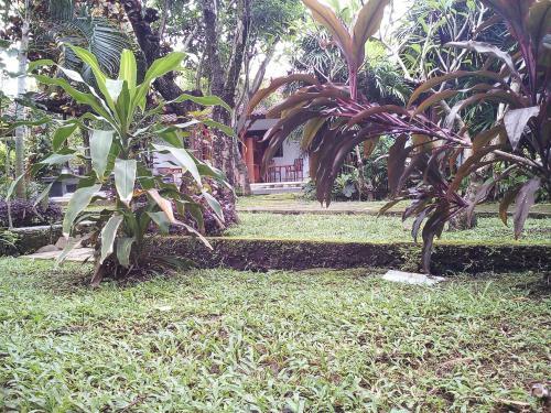 Hostal Madra Homestay