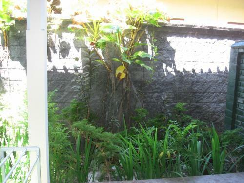 Villa Mahalini Seminyak