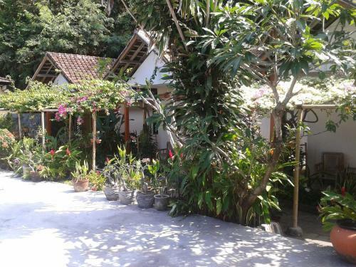 Hostal Ari Home Stay