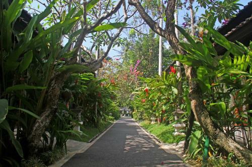 Hotel Candi Beach Resort & Spa