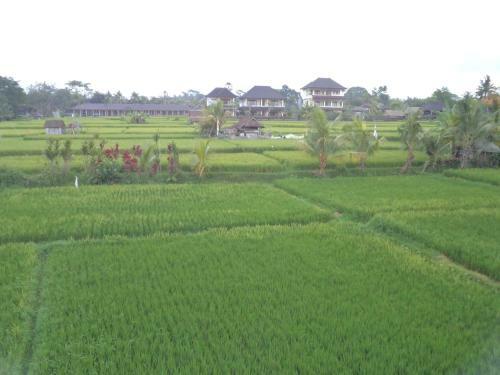 Hostal Ala's Green Lagoon
