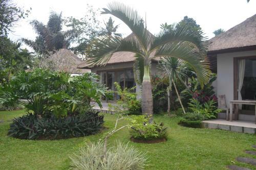 Suka's House Bed & Breakfast