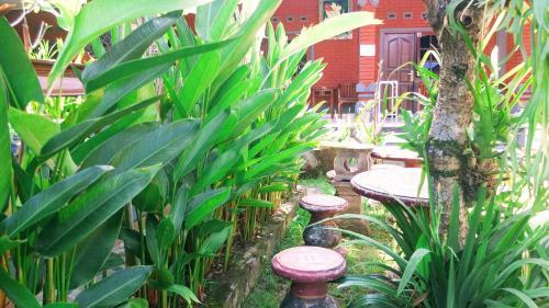 Ojek's Homestay