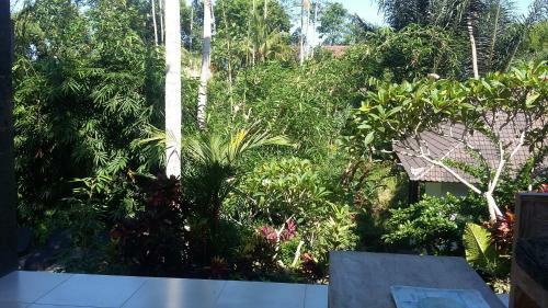 The Bali Shanti