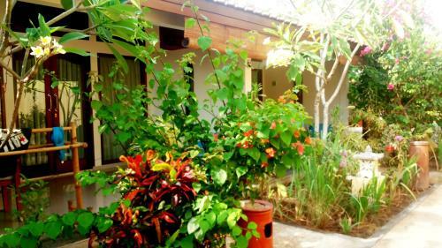 Hostal Aura Bungalow