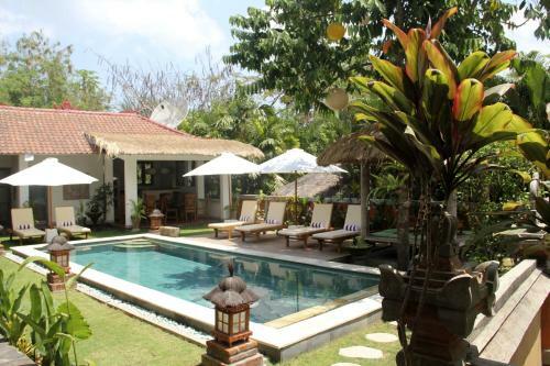 Hostal Papaya Guesthouse