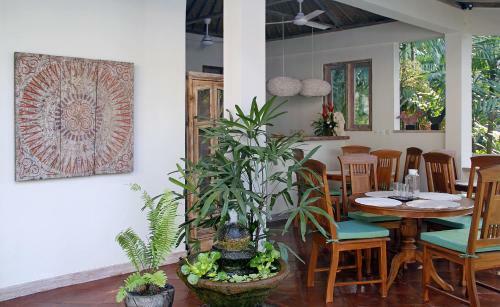 Hostal Papaya Guesthouse