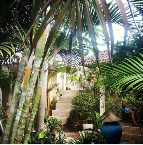 Hostal Little Elephant Cottage