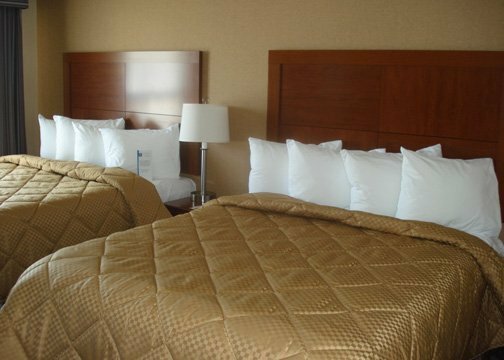 Hotel Comfort Inn & Suites Ambassador Bridge