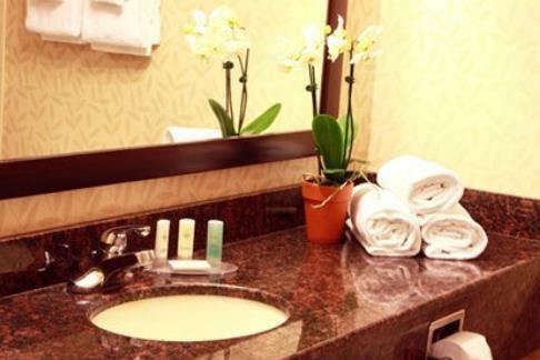 Hotel Comfort Inn & Suites Ambassador Bridge