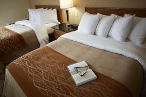 Hotel Comfort Inn Winnipeg Airport
