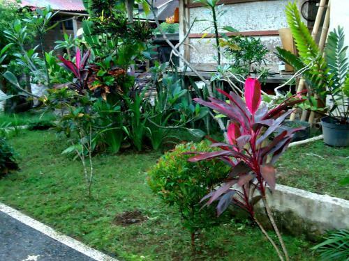 Hostal Dewa Put Guest House