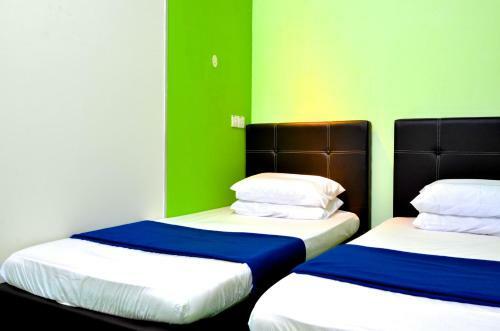 Albergue Milky Coat & Sunny Side