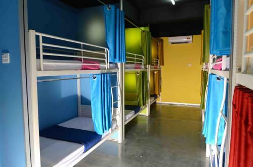 Albergue Milky Coat & Sunny Side