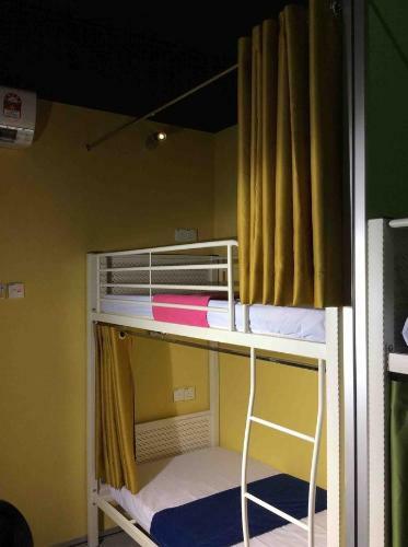 Albergue Milky Coat & Sunny Side