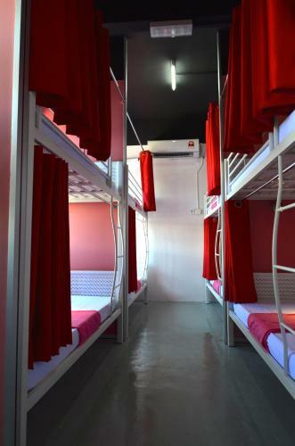Albergue Milky Coat & Sunny Side
