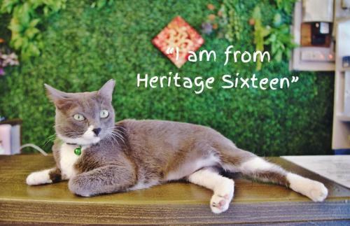 Hostal Heritage Sixteen