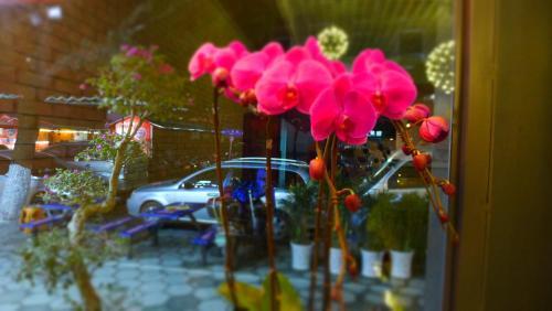 Guilin Central Wada Hostel