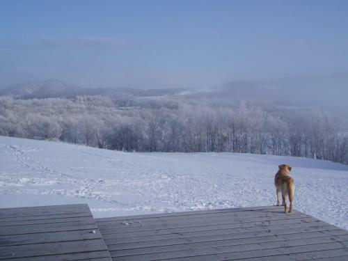 Bed & Breakfast Yado Hanafurari