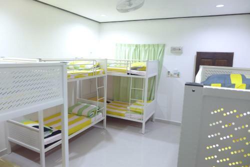 My Rainforest Hotel At Cenang Beach