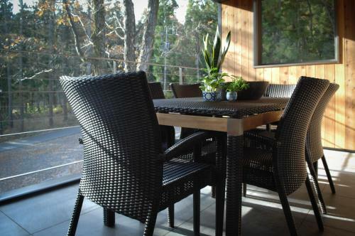 Cocoon House