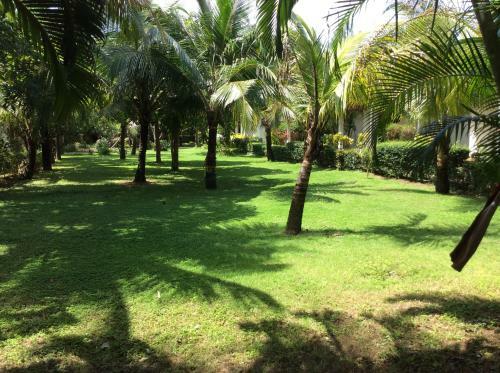 Hotel Cousin Resort