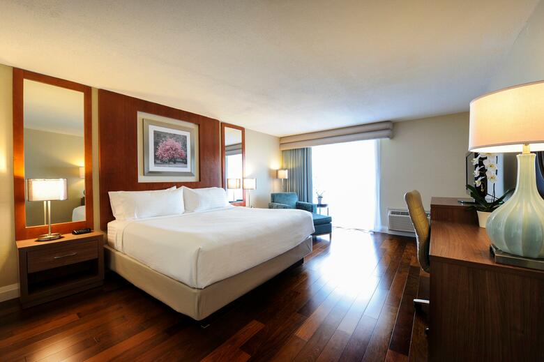 Hotel Holiday Inn Niagara Falls-by The Falls