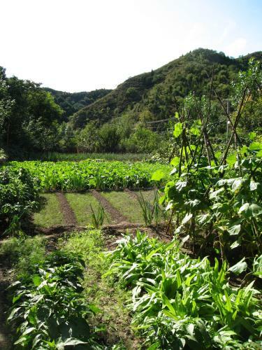 Agroturismo Chengtao Xiaozhu Folk Inn