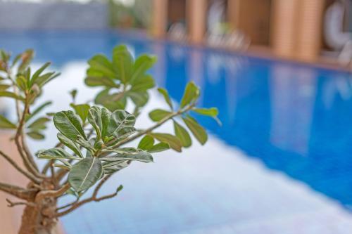 Hotel Vann Hua Hin Resort