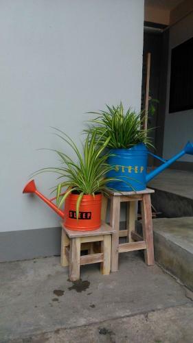 Hostal Sleep Guesthouse
