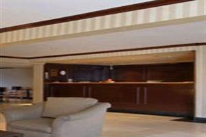 Hotel Ramada Inn Dfw North