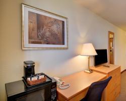 Hotel Ramada Inn Dfw North