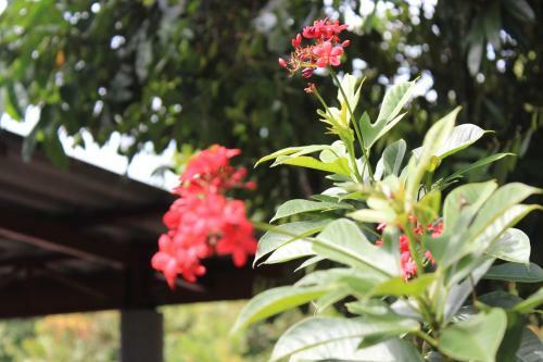 Hotel Lanta Happy Hill