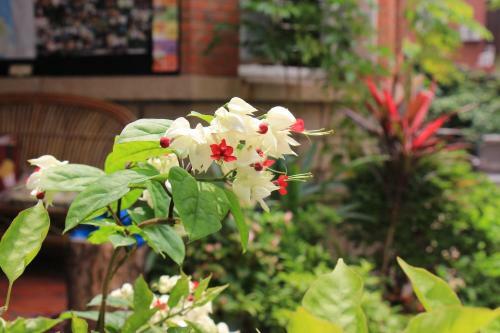 Posada Quanzhou New Street 54 Coffee Inn