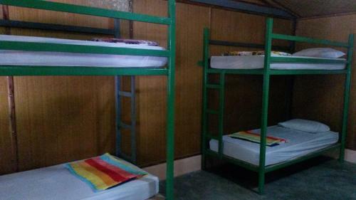 Funky Fish Hostels