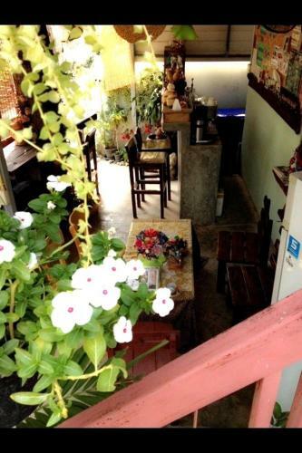 Hostal Coffee In Narrow Guesthouse