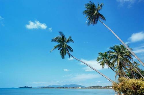 Replay Bangrak Beach Studio Apartment