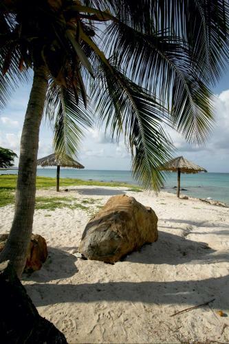Villa Bougainvillea Aruba Rumba Suite