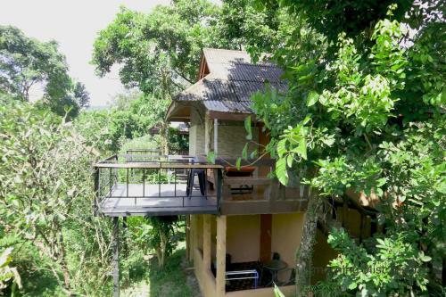 Hotel Khao Sok Morning Mist Resort