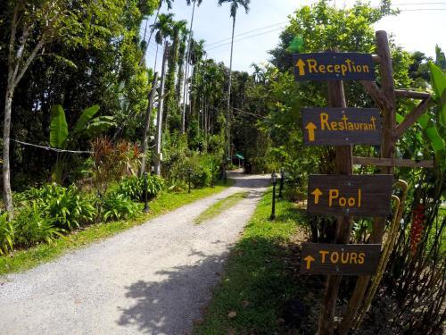 Hotel Khao Sok Morning Mist Resort
