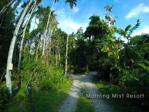 Hotel Khao Sok Morning Mist Resort