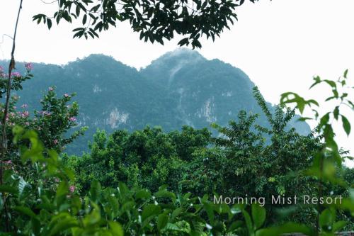Hotel Khao Sok Morning Mist Resort