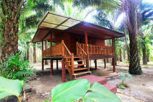 Hotel Khao Sok Palmview Resort