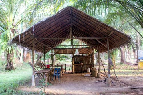 Hotel Khao Sok Palmview Resort