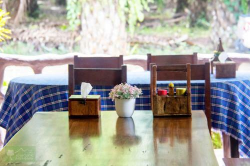 Hotel Khao Sok Palmview Resort
