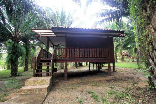 Hotel Khao Sok Palmview Resort