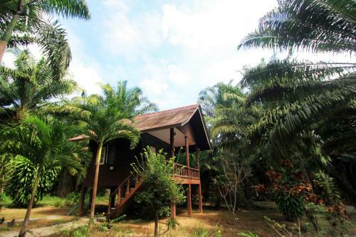 Hotel Khao Sok Palmview Resort