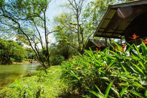 Lodge Khaosok Riverside Cottages